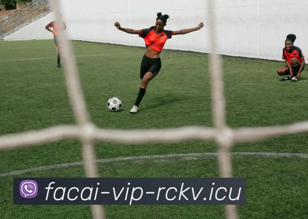 乐鱼体育品牌故事