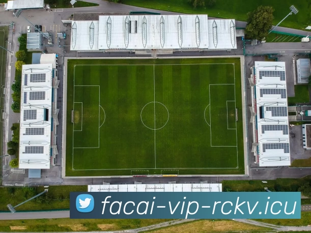 乐鱼体育服务体系